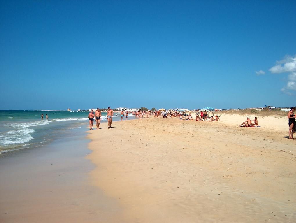 Torre Pal