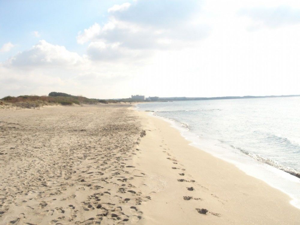 La spiaggia