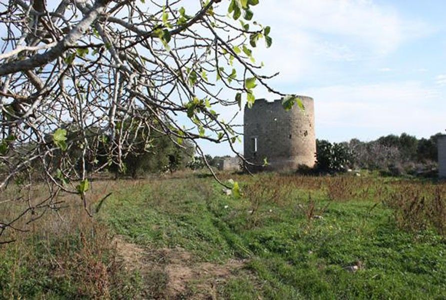 Appuntamento al Parco di Rauccio
