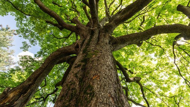 Salute e Ambiente da salvaguardare