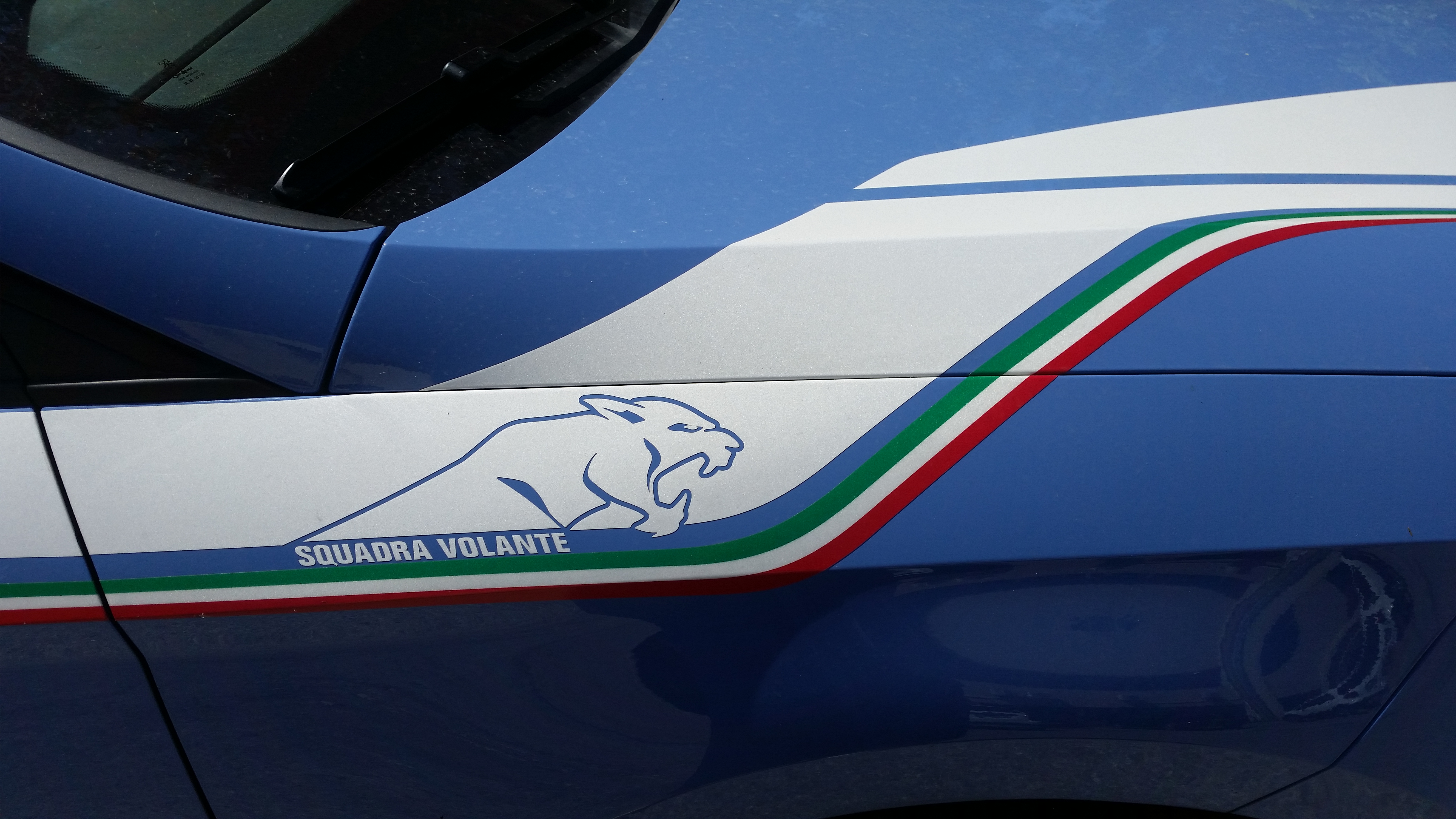 Volante-polizia