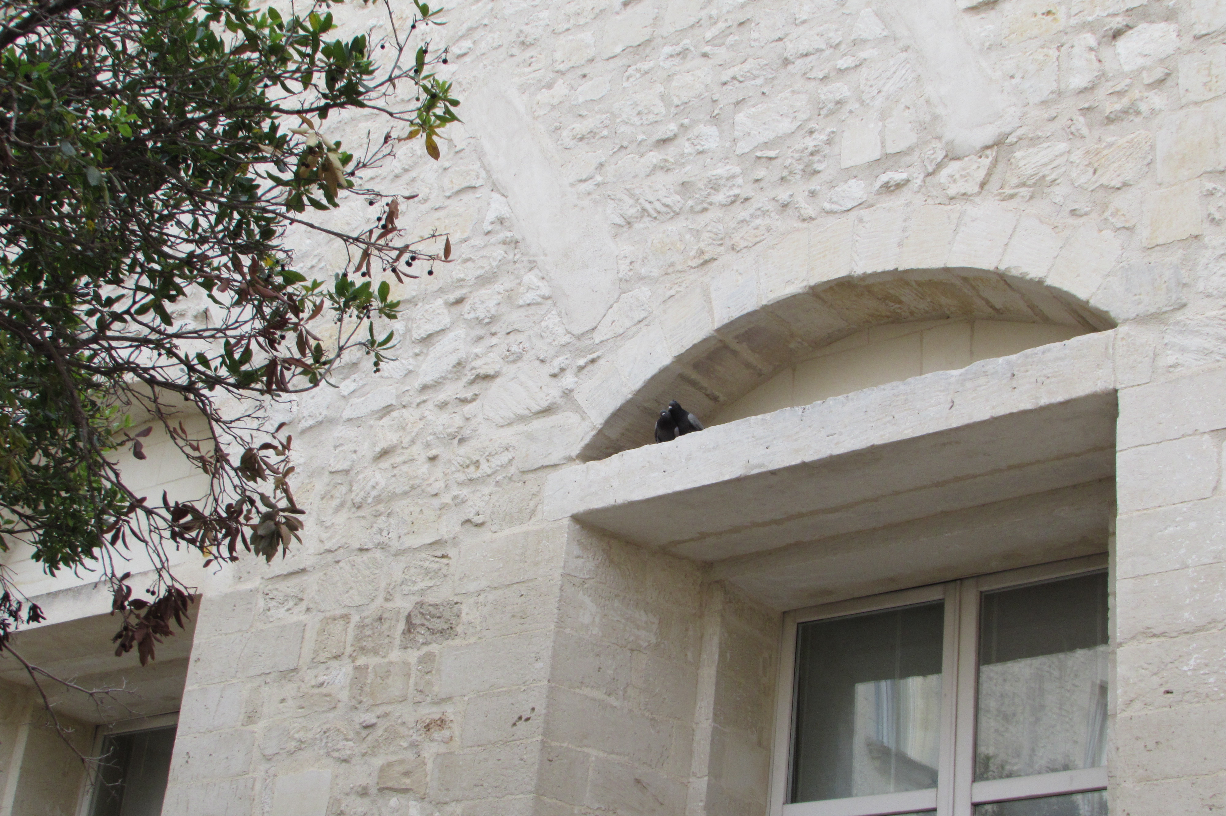 teatini-lecce
