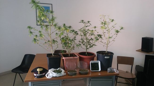 Stupefacente-San-Cesareo