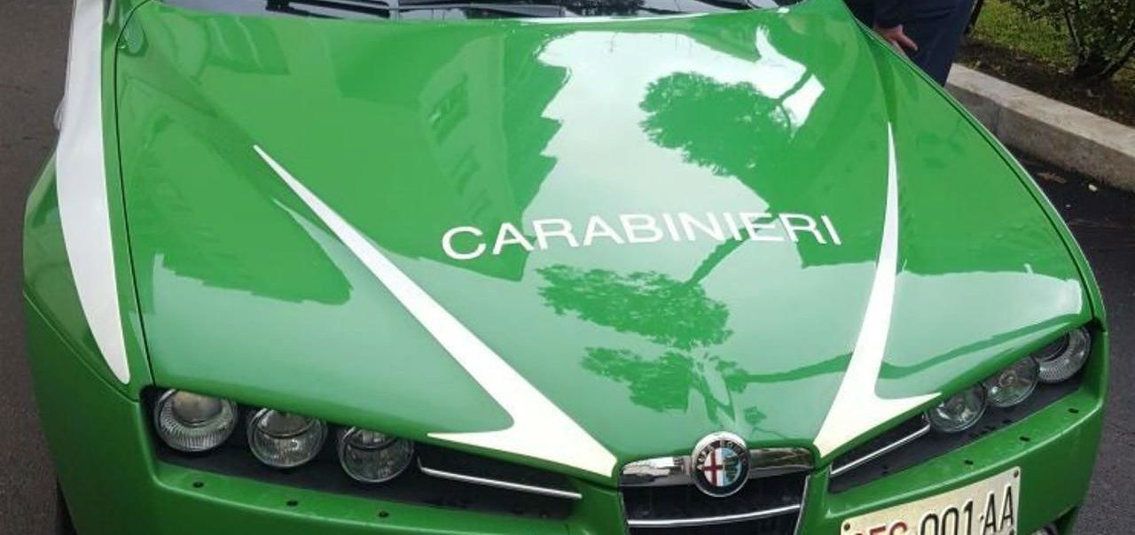 carabinieri-forestali