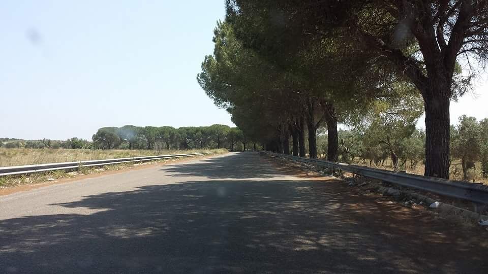 Parcheggio-capoccia-gay-scambisti