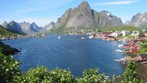 lofoten-urso