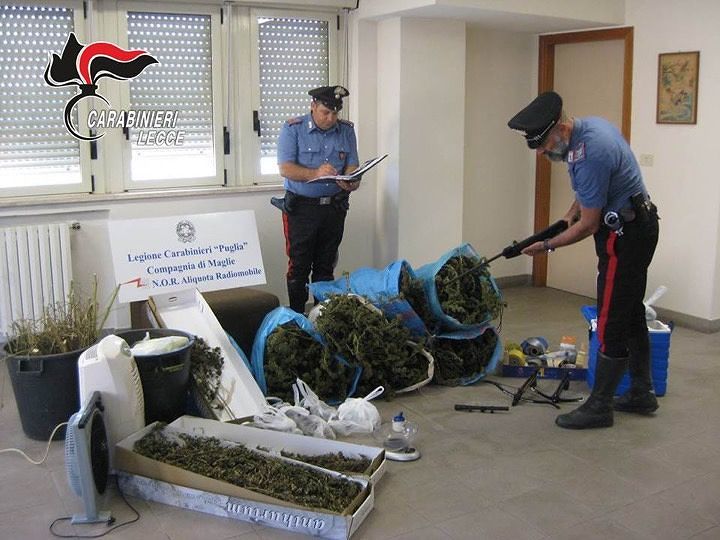 marijuana-sequestrata-cursi