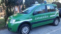 carabinieri-ambientali
