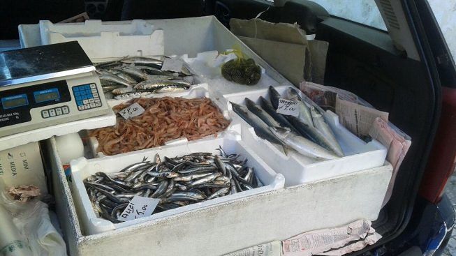 pescivendolo-abusivo