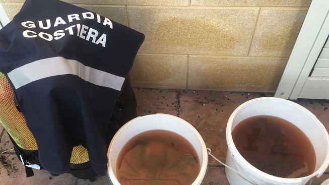 seqestri-guardia-costiera