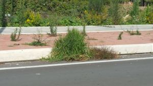 pista-ciclabile-frigole