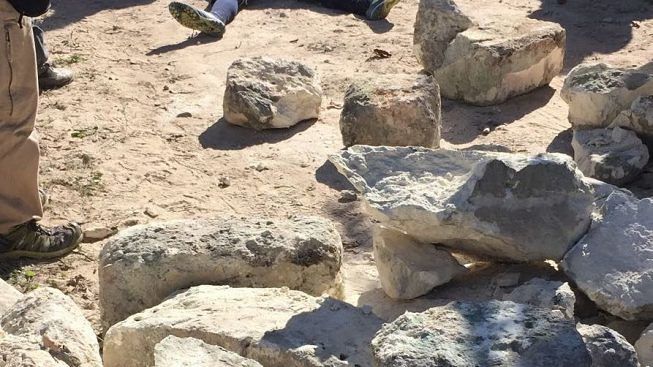 contestazioni-no-tap