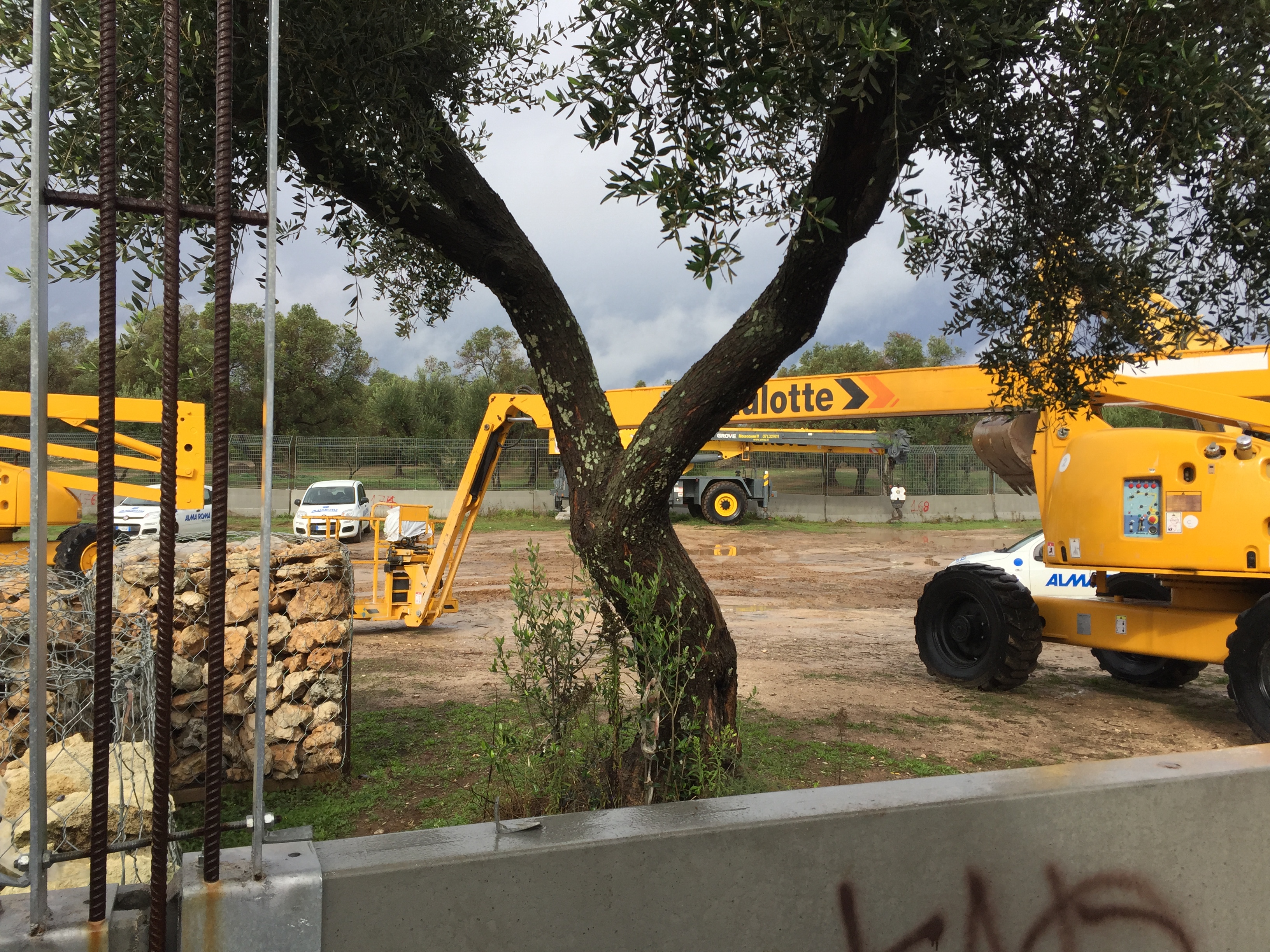 cantiere-tap