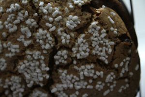 panettone-olio-oliva