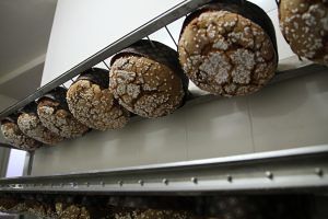 panettone-olio-oliva