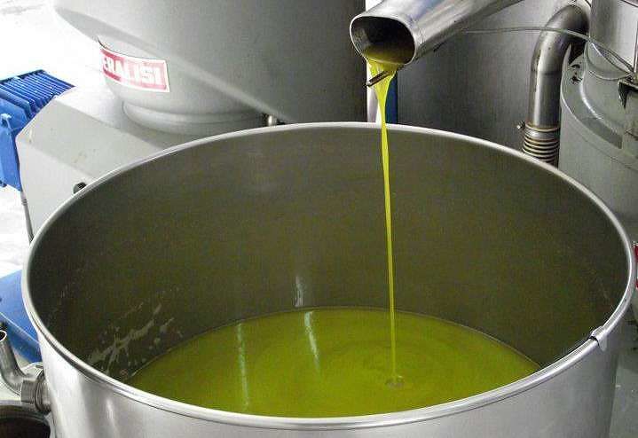 olio-oliva
