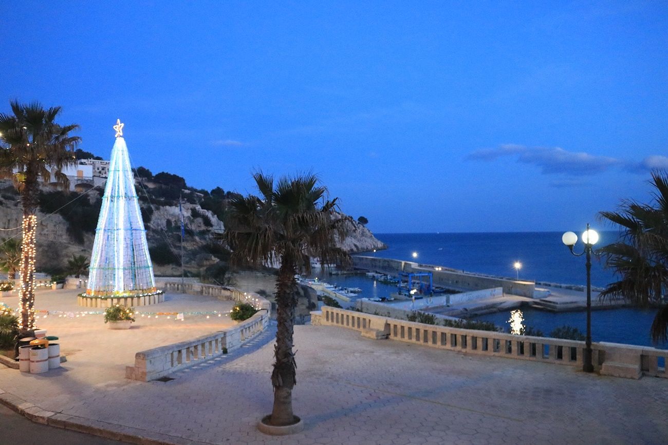 castro-natale