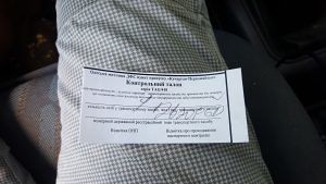 Davide-urso-moldavia