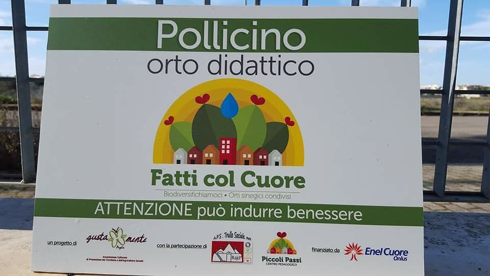 L'orto sinergico Pollicino