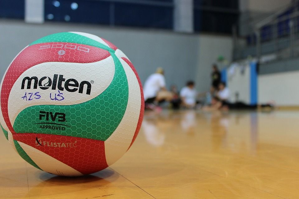 pallone da pallavolo (ph. pixabay.com)
