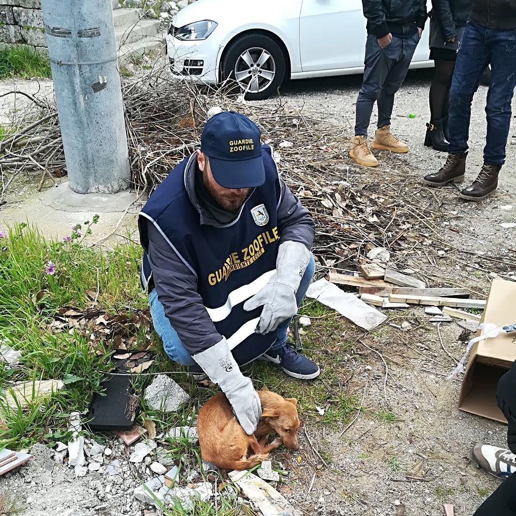 La cagnolina con le Guardie Zoofile