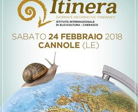 elicicoltura-cannole