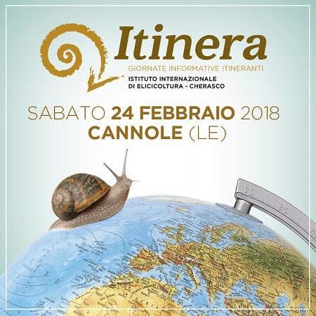 elicicoltura-cannole