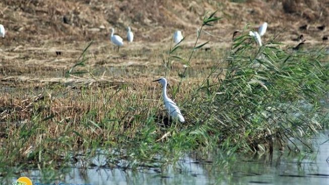 riservatorre-guaceto