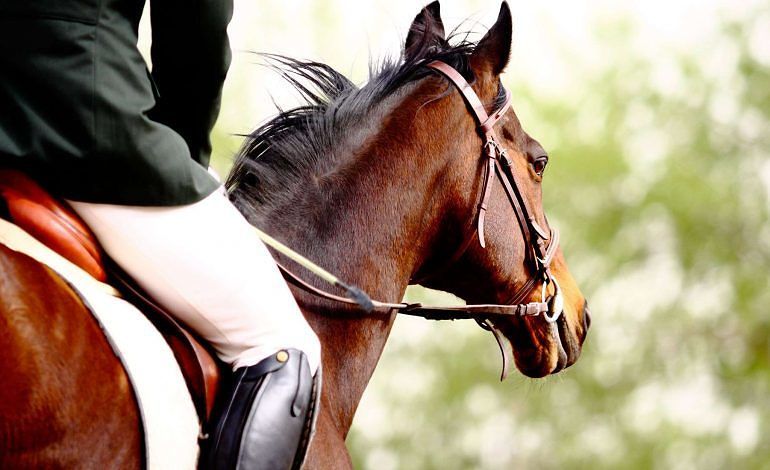 equitazione