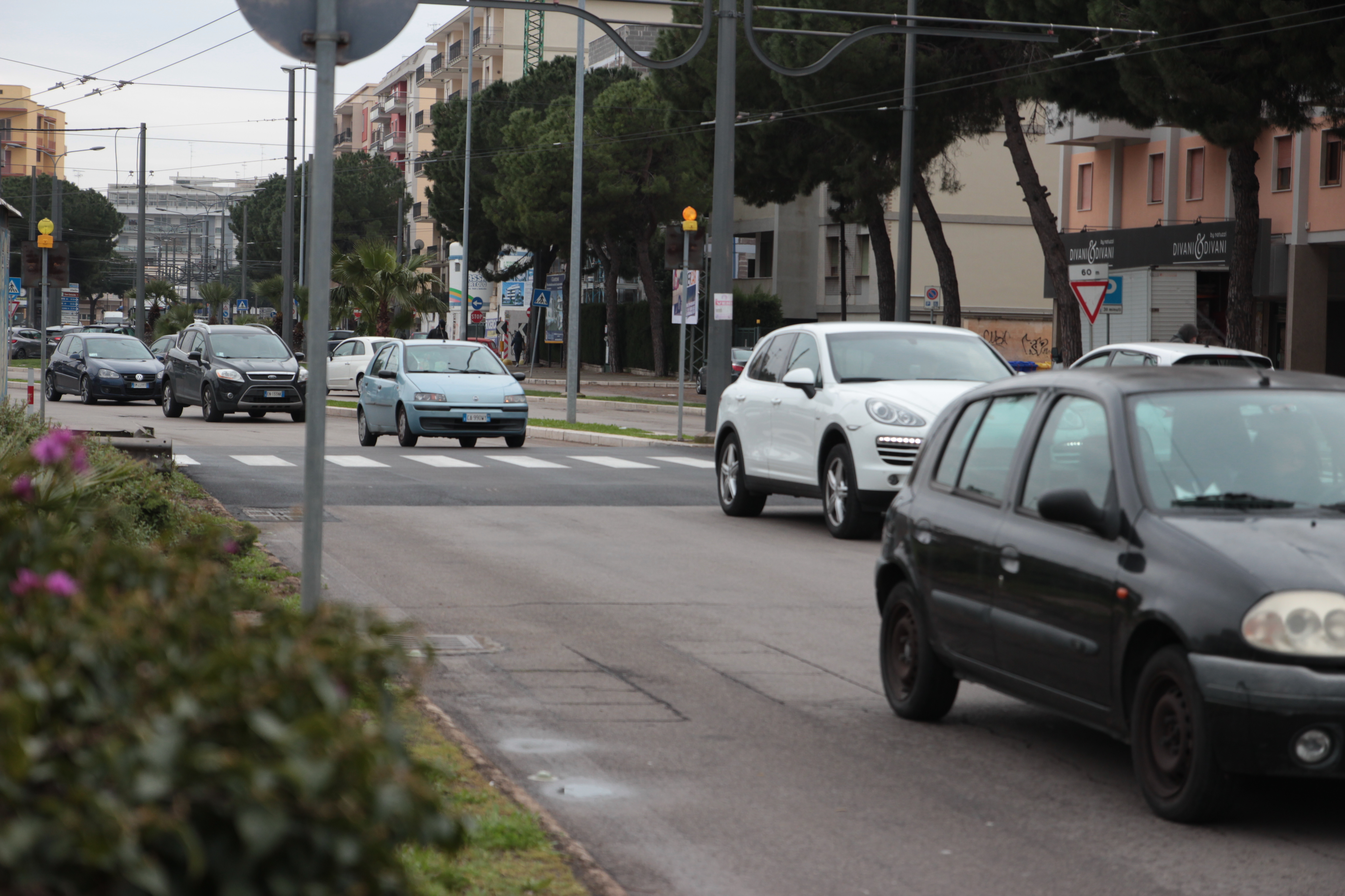 foto-dosso-1