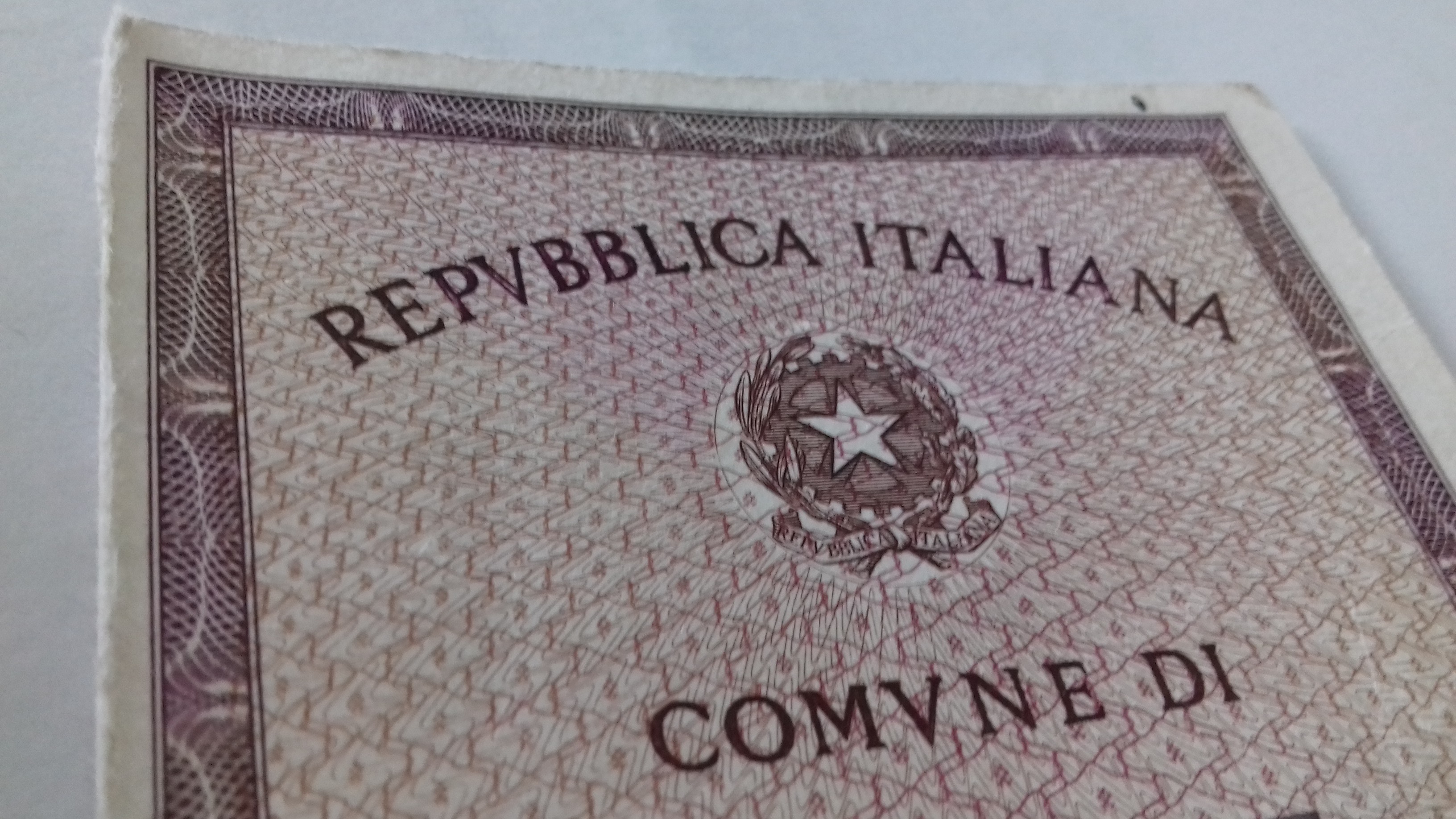 Documenti falsi, guai per una donna