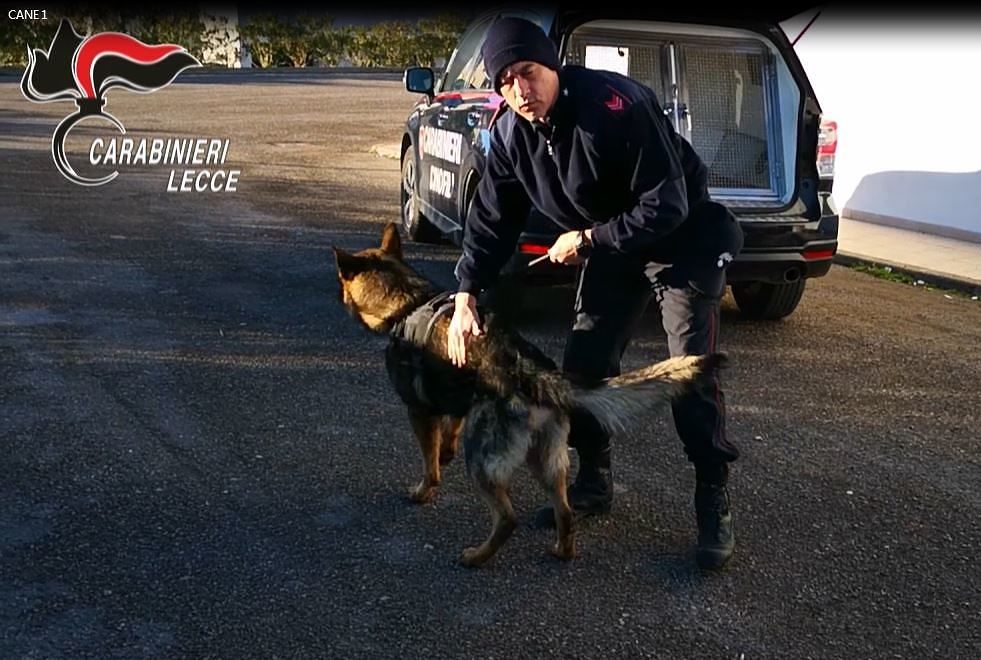 Nucleo Cinofilo Carabinieri