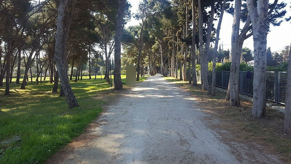 Sport, campi estivi e socialità al Campo “Montefusco”: approvato lo schema di avviso pubblico