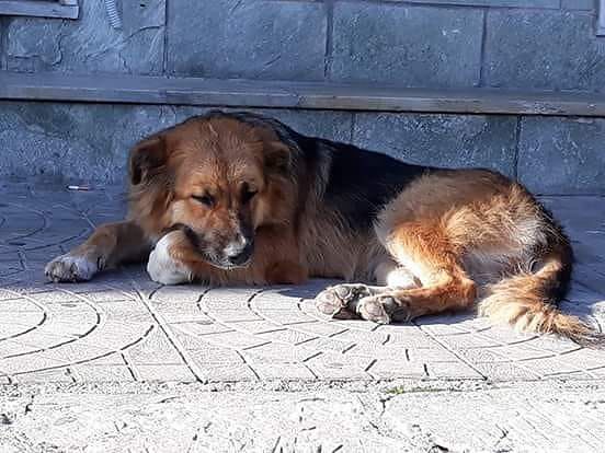 Lucy