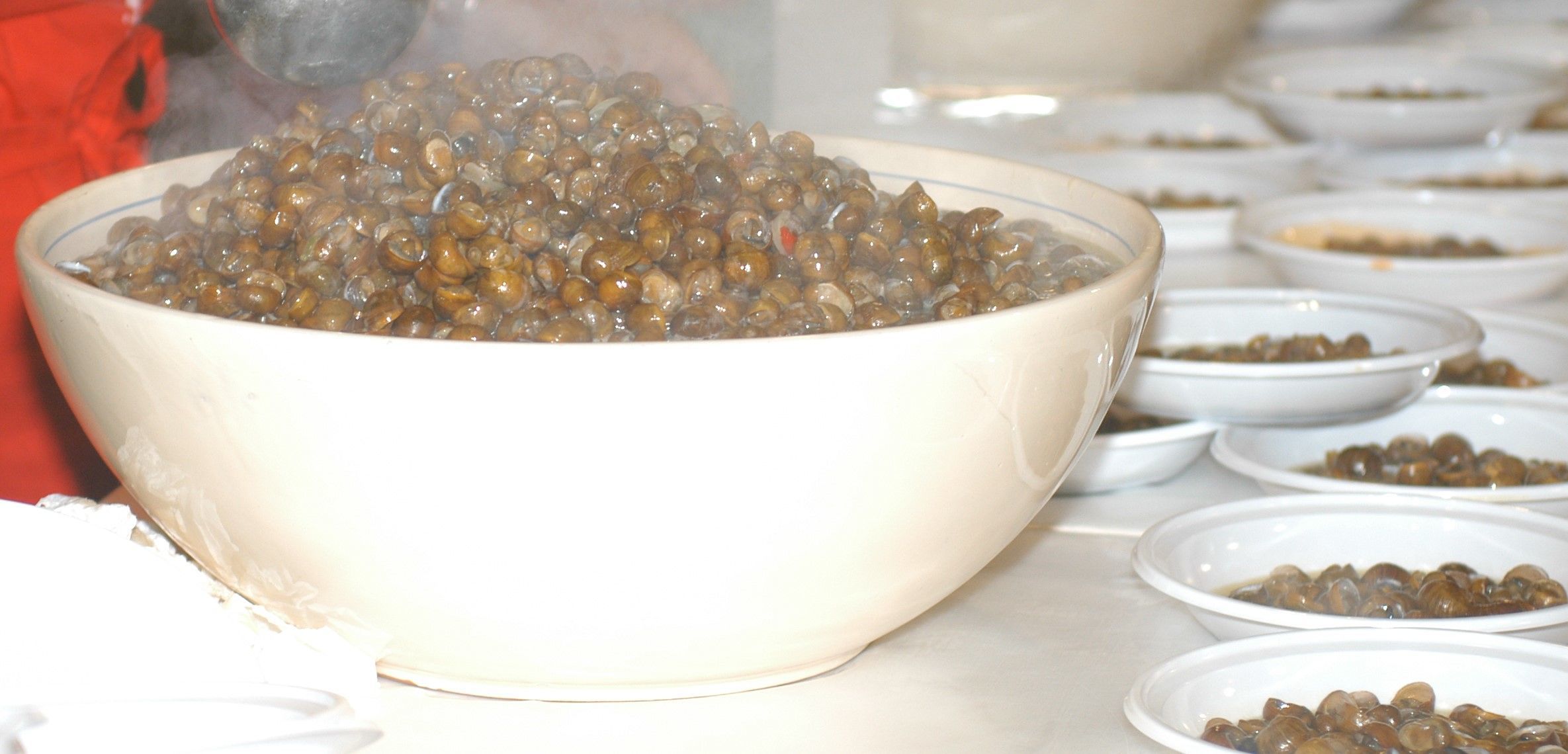 festa-municeddha