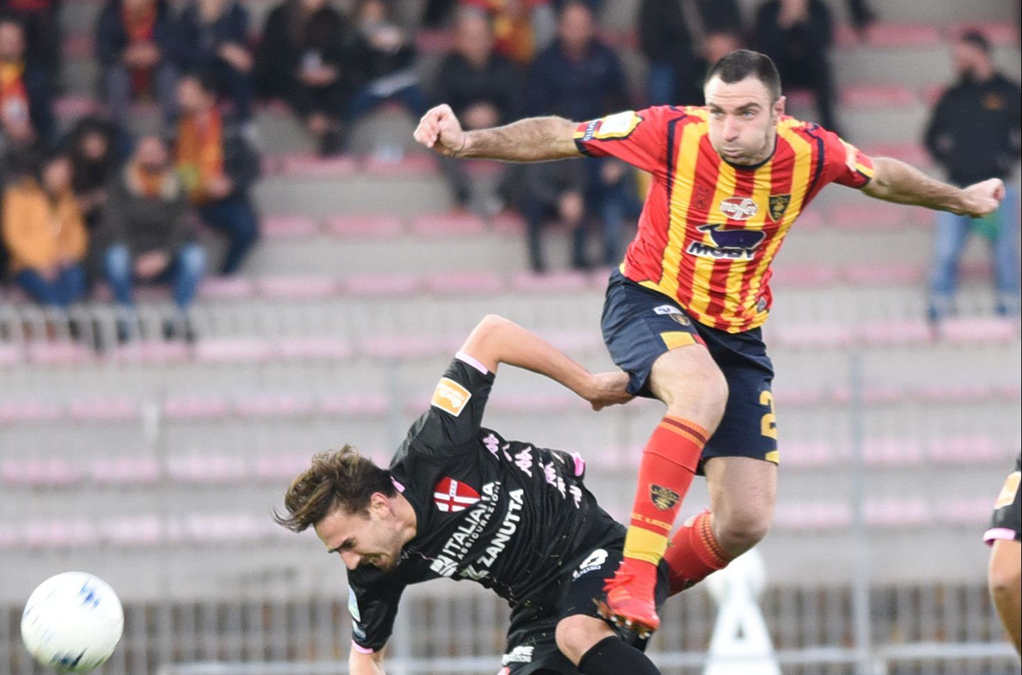Lucioni in volo (Ph Pinto)