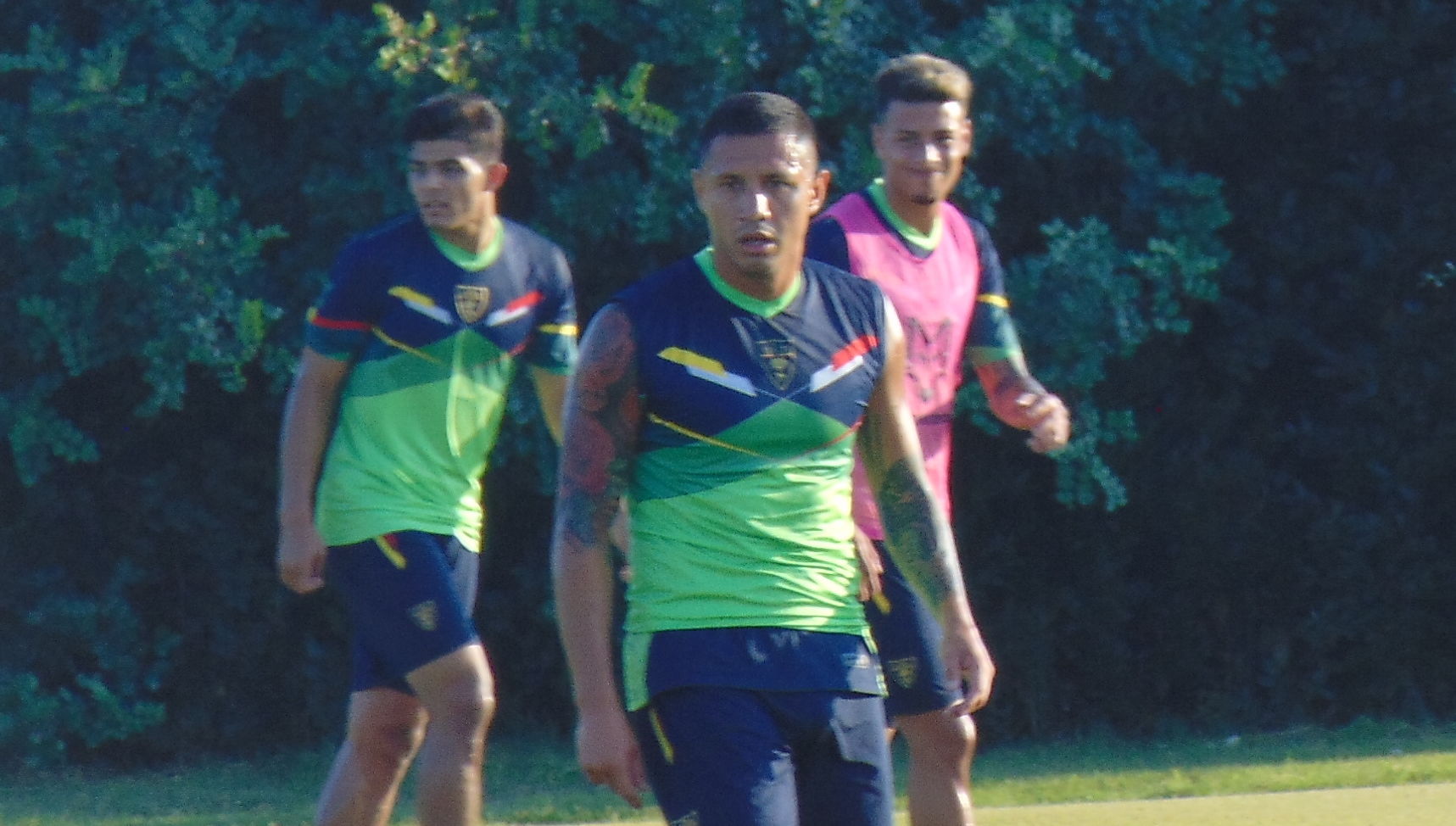 Lapadula