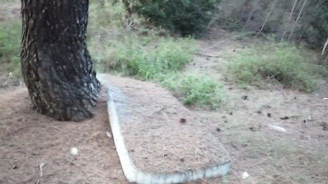 spazzatura-boschetto-vicino riserva le cesine