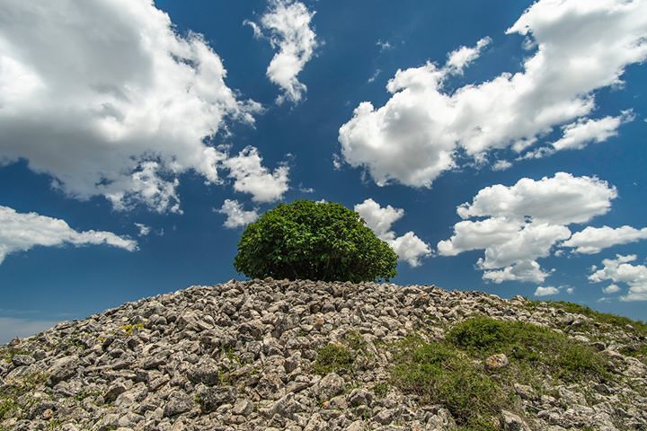 Specchia dei Mori (ph. Ivan Giannone)
