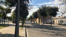 Viale Università, Lecce (ph. Davide Milone)