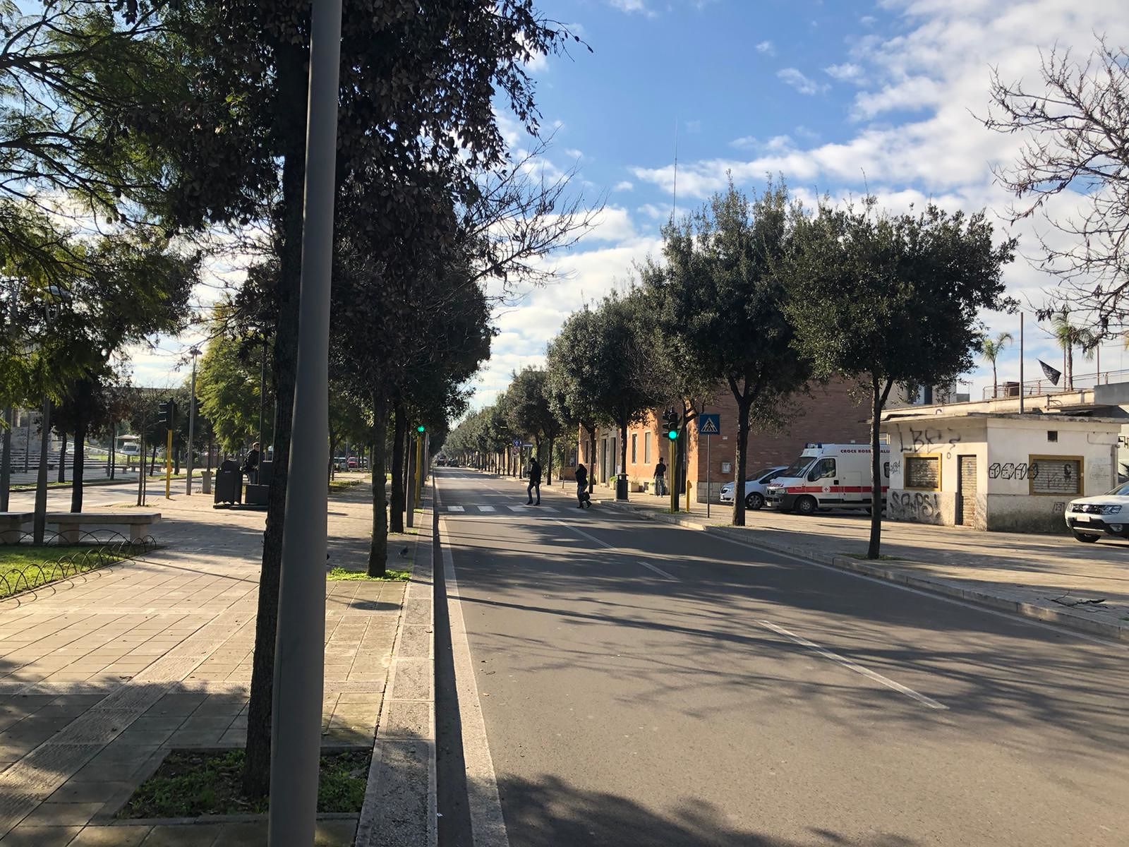 Viale Università, Lecce (ph. Davide Milone)