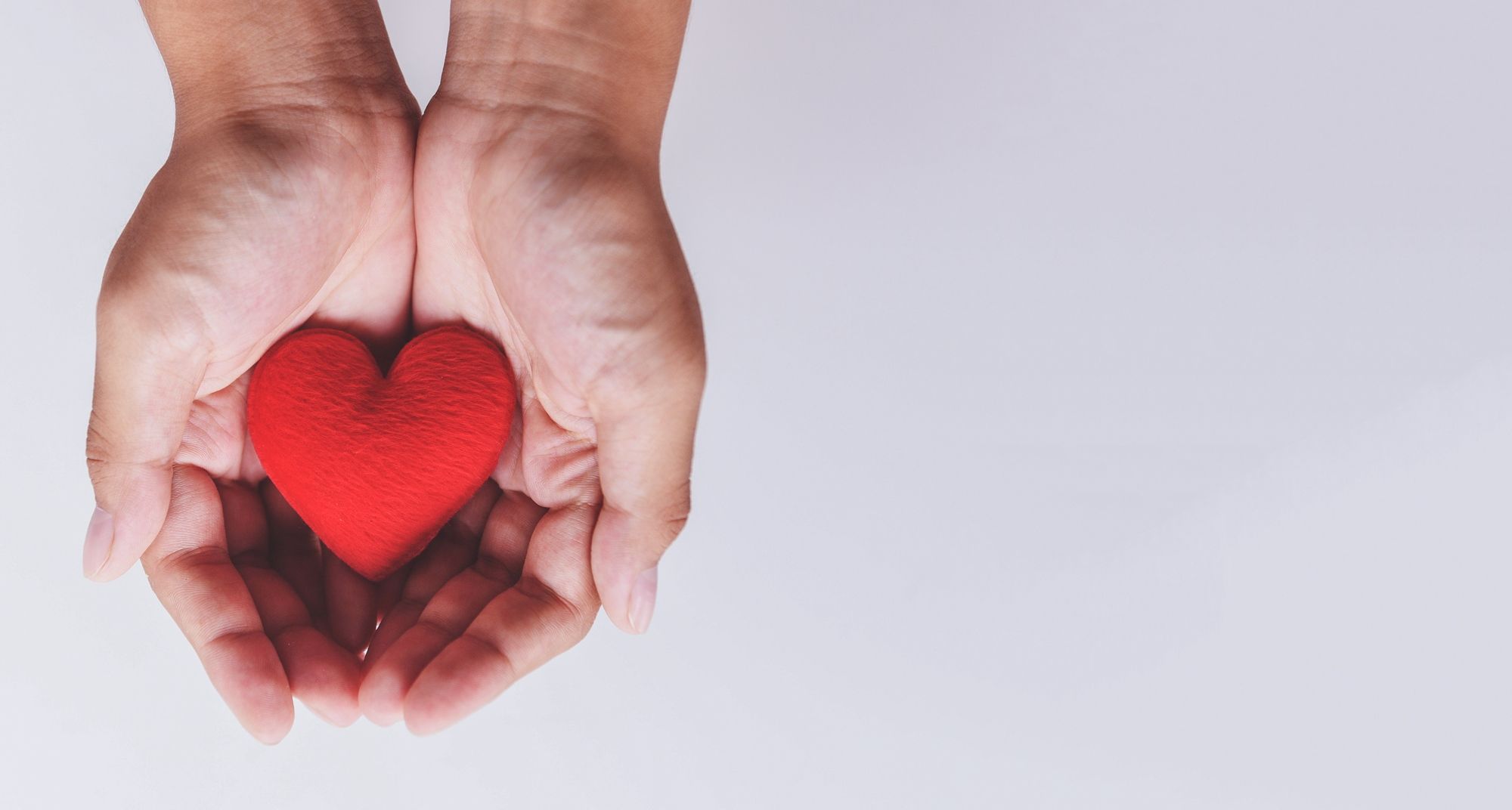 heart on hand for philanthropy concept / woman holding red heart in hands for valentines day or donate help give love warmth take care