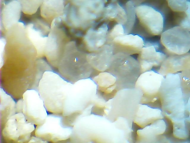 Sabbia al microscopio di Porto Cesareo