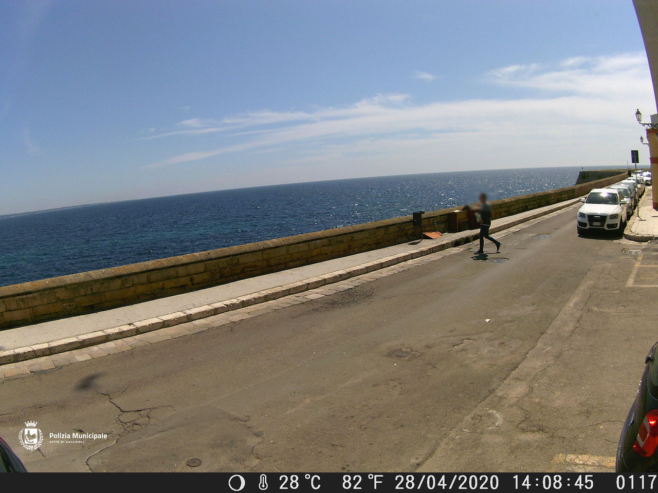 Wildcamera