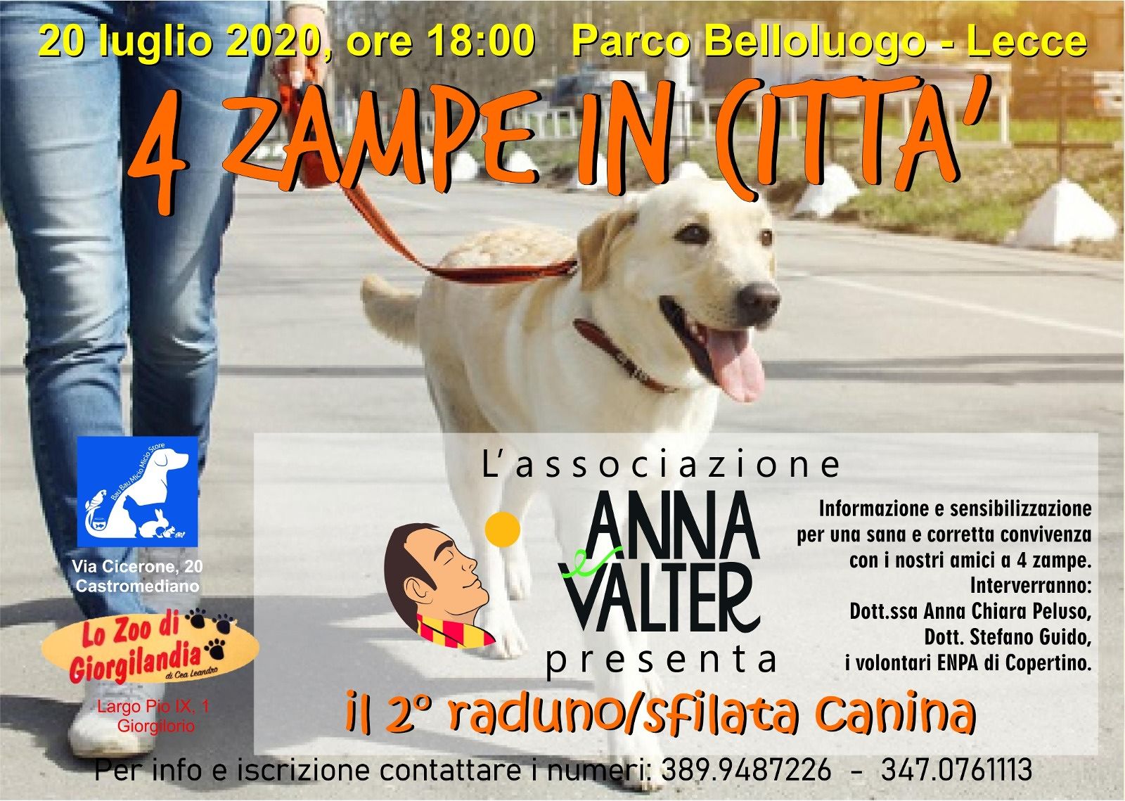 canile comacchio villaggio a 4 zampe e pensione canina