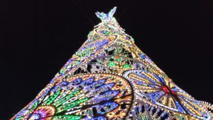 albero-natale-luminarie-piazza-sant-oronzo