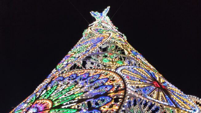 albero-natale-luminarie-piazza-sant-oronzo