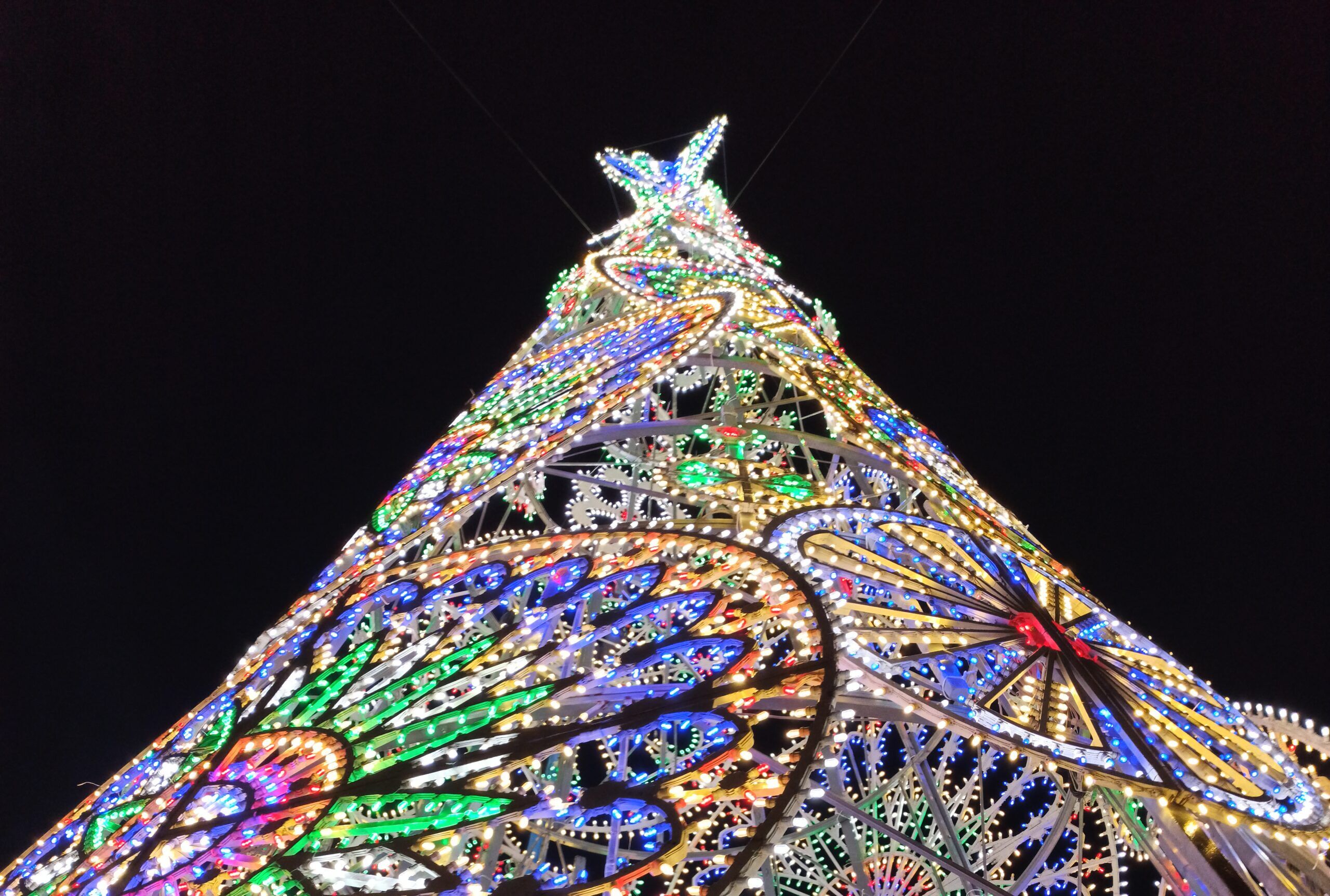 albero-natale-luminarie-piazza-sant-oronzo