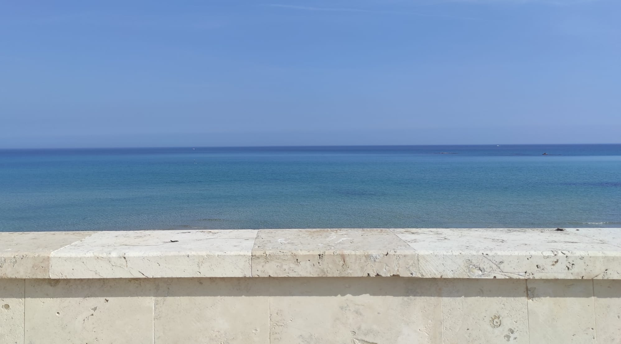 mare