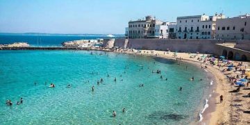 Immagine tratta dal web